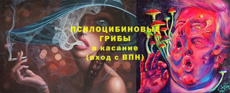 Галлюциногенные грибы Magic Shrooms  Кудрово 